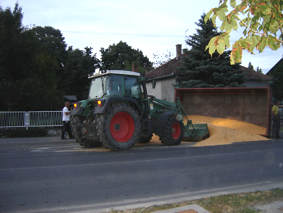 Betonska ulica u Belom Manastiru